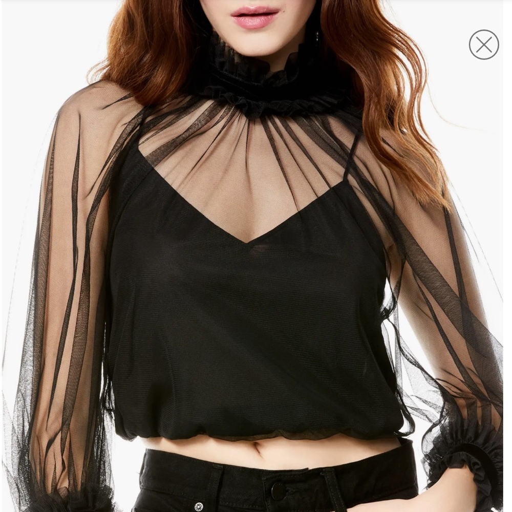 Alice + Olivia Alexia Mesh Sheer Mock Neck Crop Top